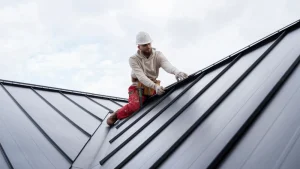 Home Roof Solution